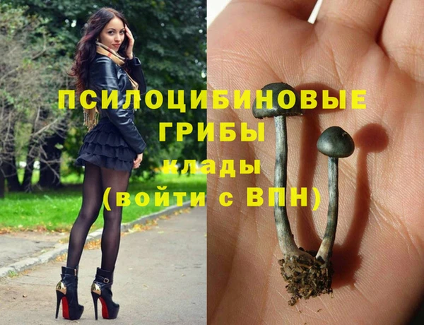 трава Зеленодольск